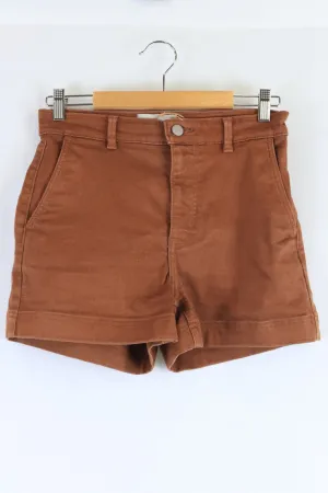 Everlane Brown Shorts 4